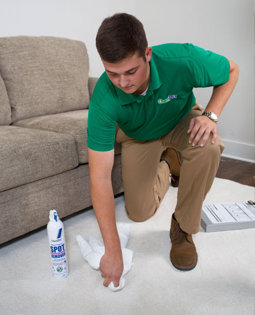 Chem-Dry of Mount Vernon spot carpet stain remover technician in Mount Vernon WA