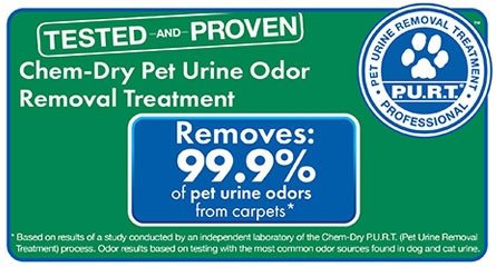 Chem-Dry of Mount Vernon removes 99.9% of pet urine odors from carpets and 99.2% of bacteria from pet urine in carpets in Mount Vernon WA
